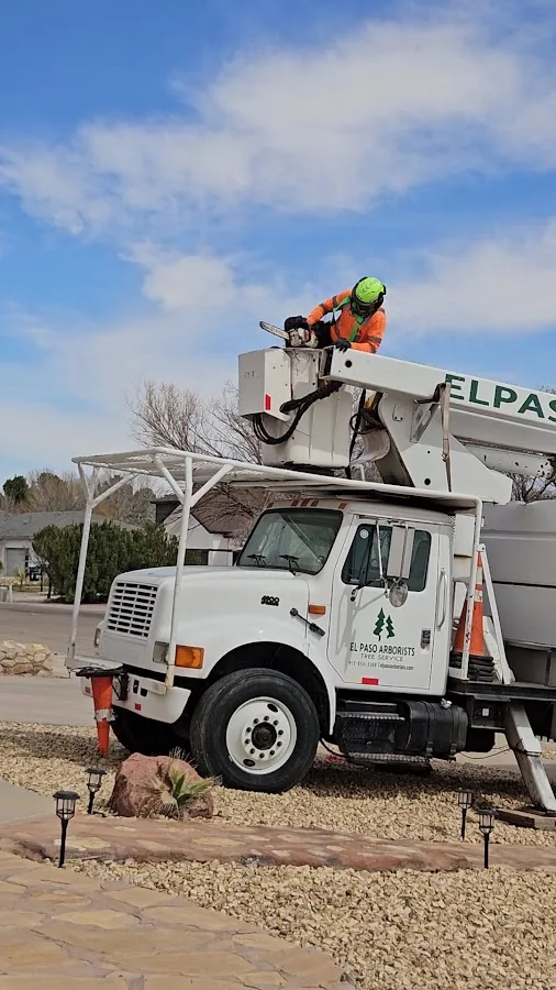 El Paso Arborists