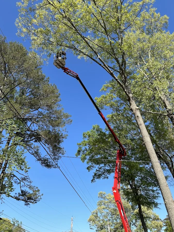 Elite Tree Service