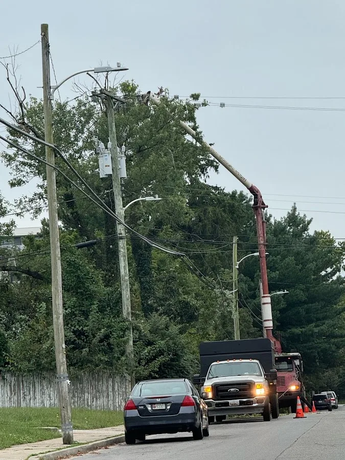 ER Tree Service in Portland: Matching the Request to the Right Tree-Care Scope