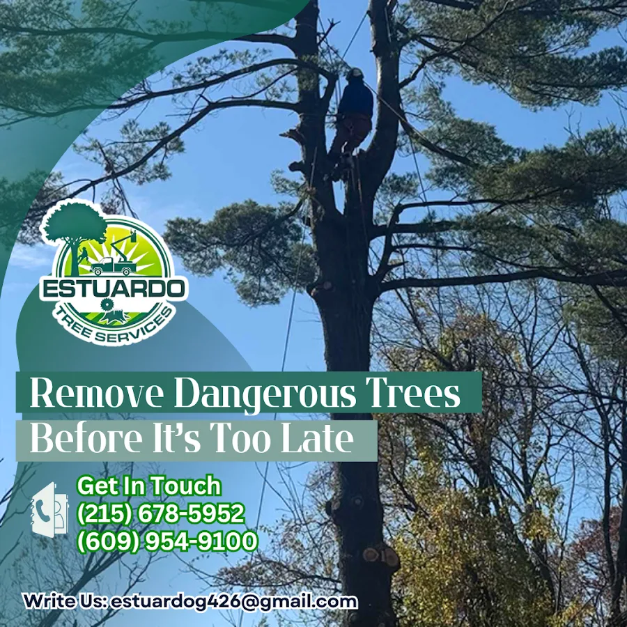 Estuardo Tree Service LLC