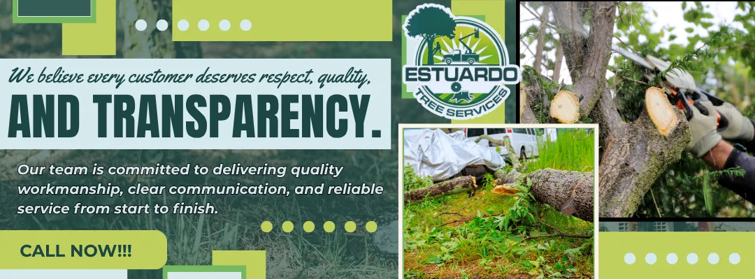 Estuardo Tree Service LLC gallery 2