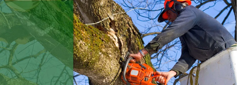 Eugene M Brennan Tree Service LLC