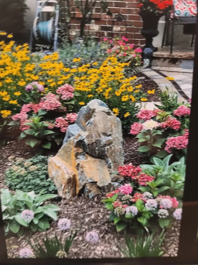 Ever Green Tree Services & Landscaping