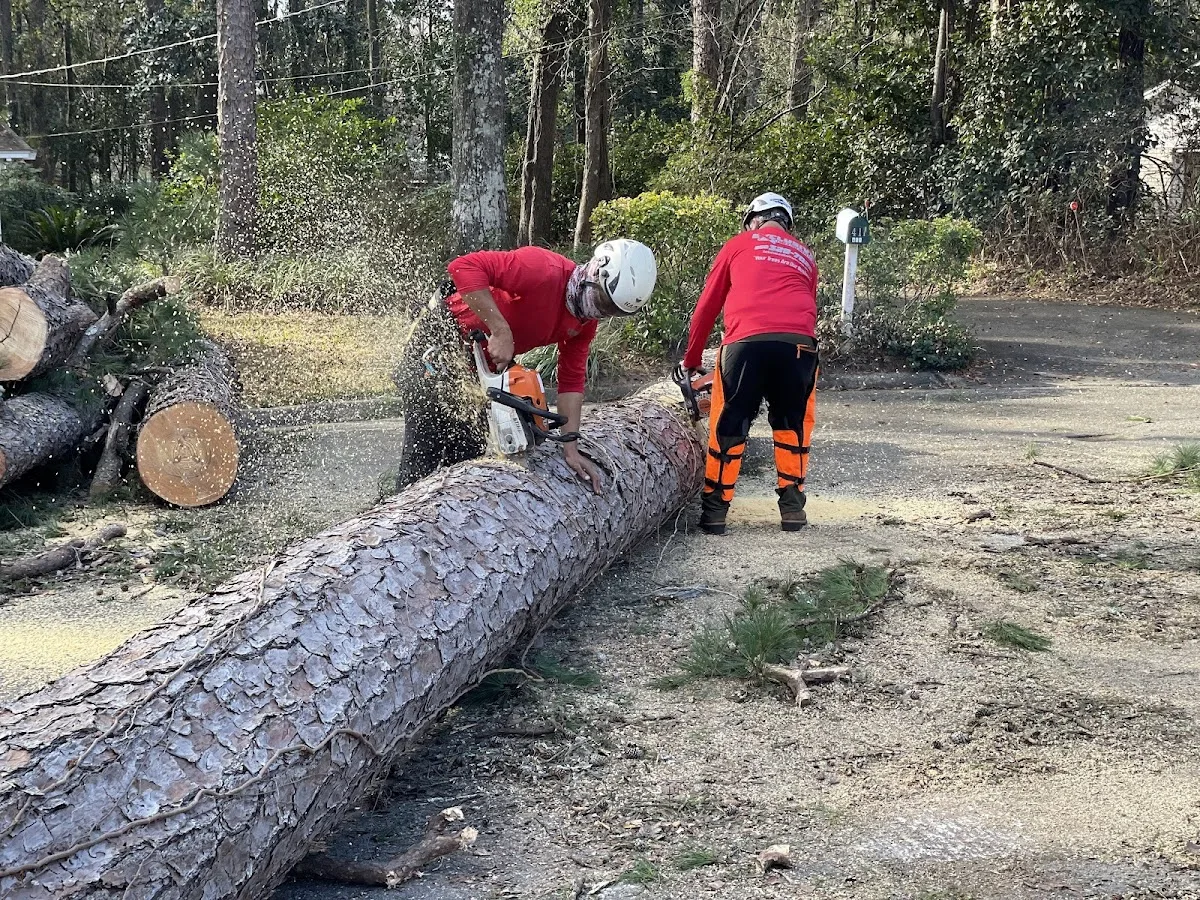 Exclusive Land and Tree Services