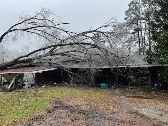 Expert Tree Care LLC