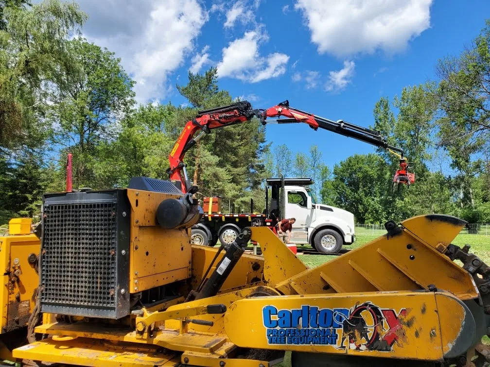 Expert Tree Service gallery 2