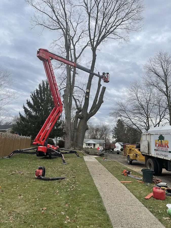 Fair Tree Service. work site
