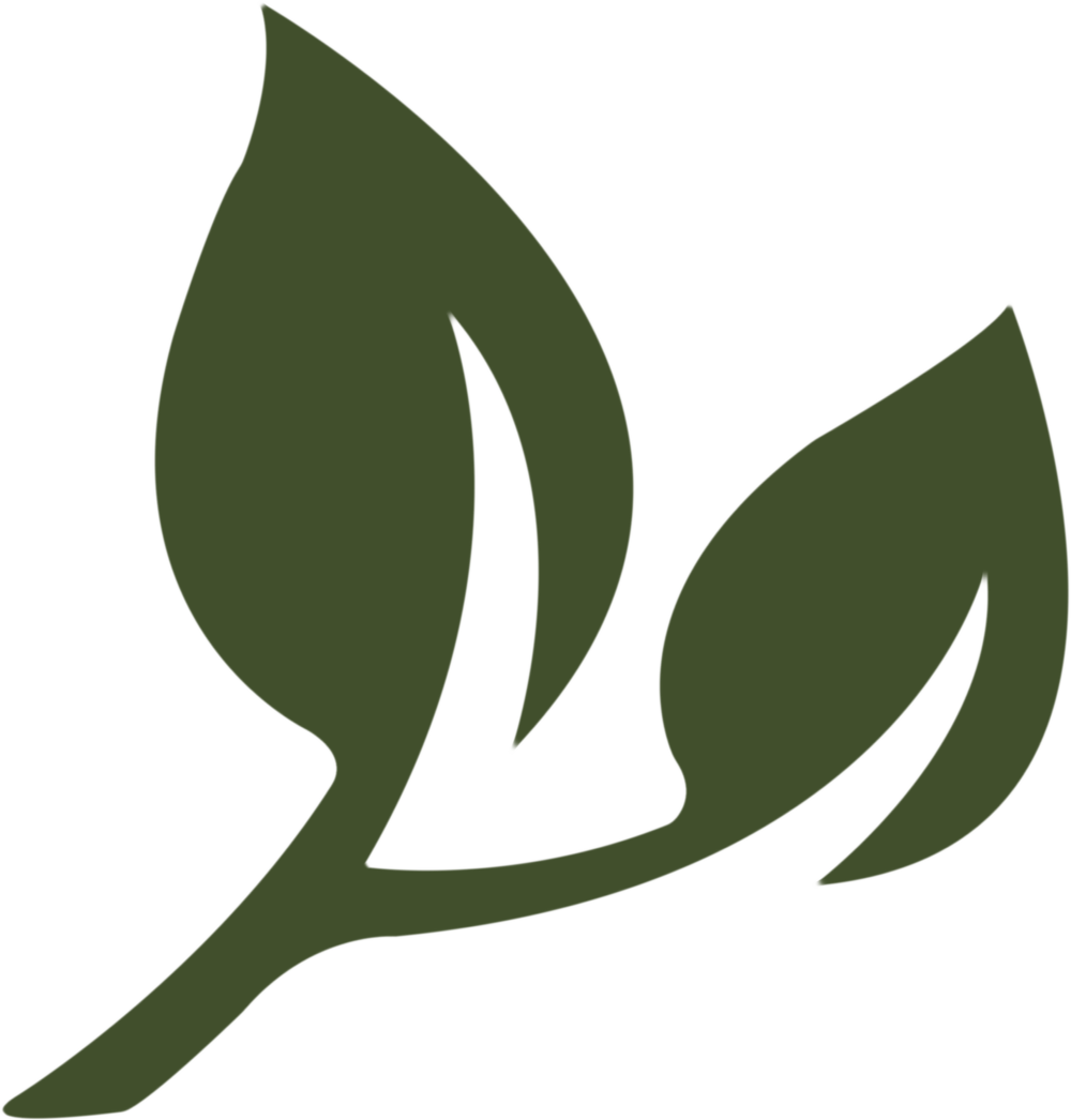 Family Tree Care gallery 5