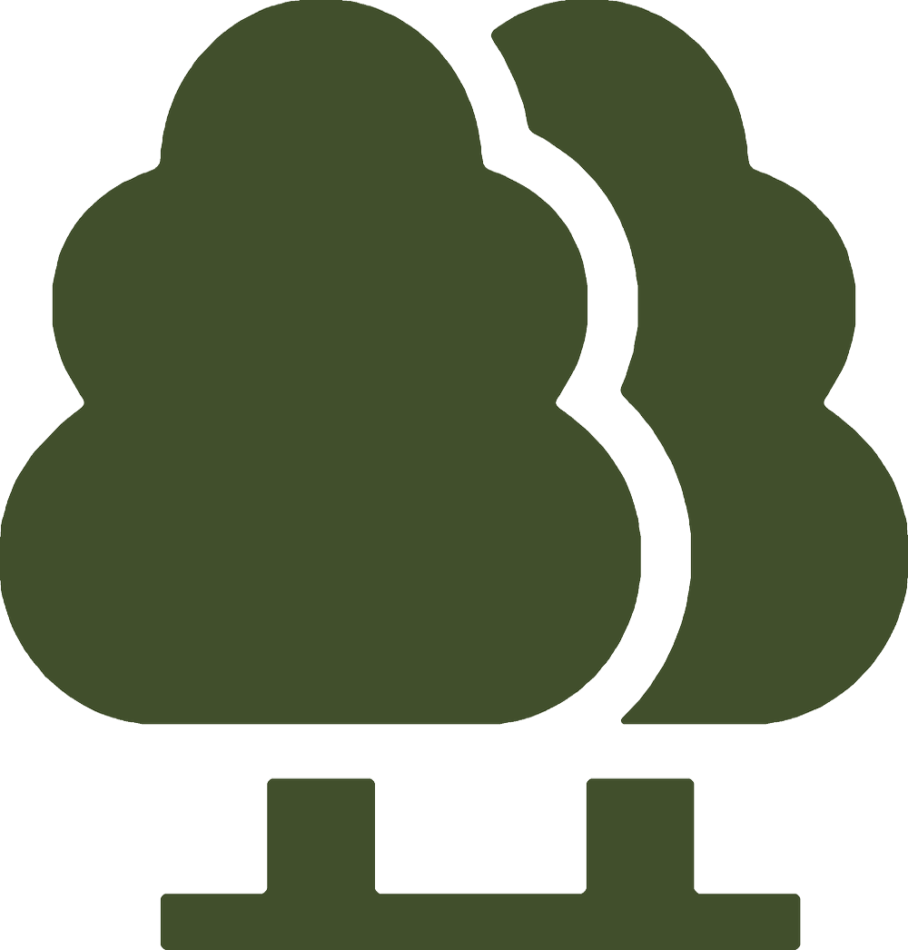 Family Tree Care gallery 7