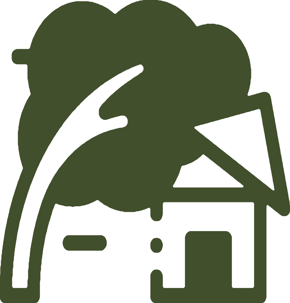 Family Tree Care gallery 8
