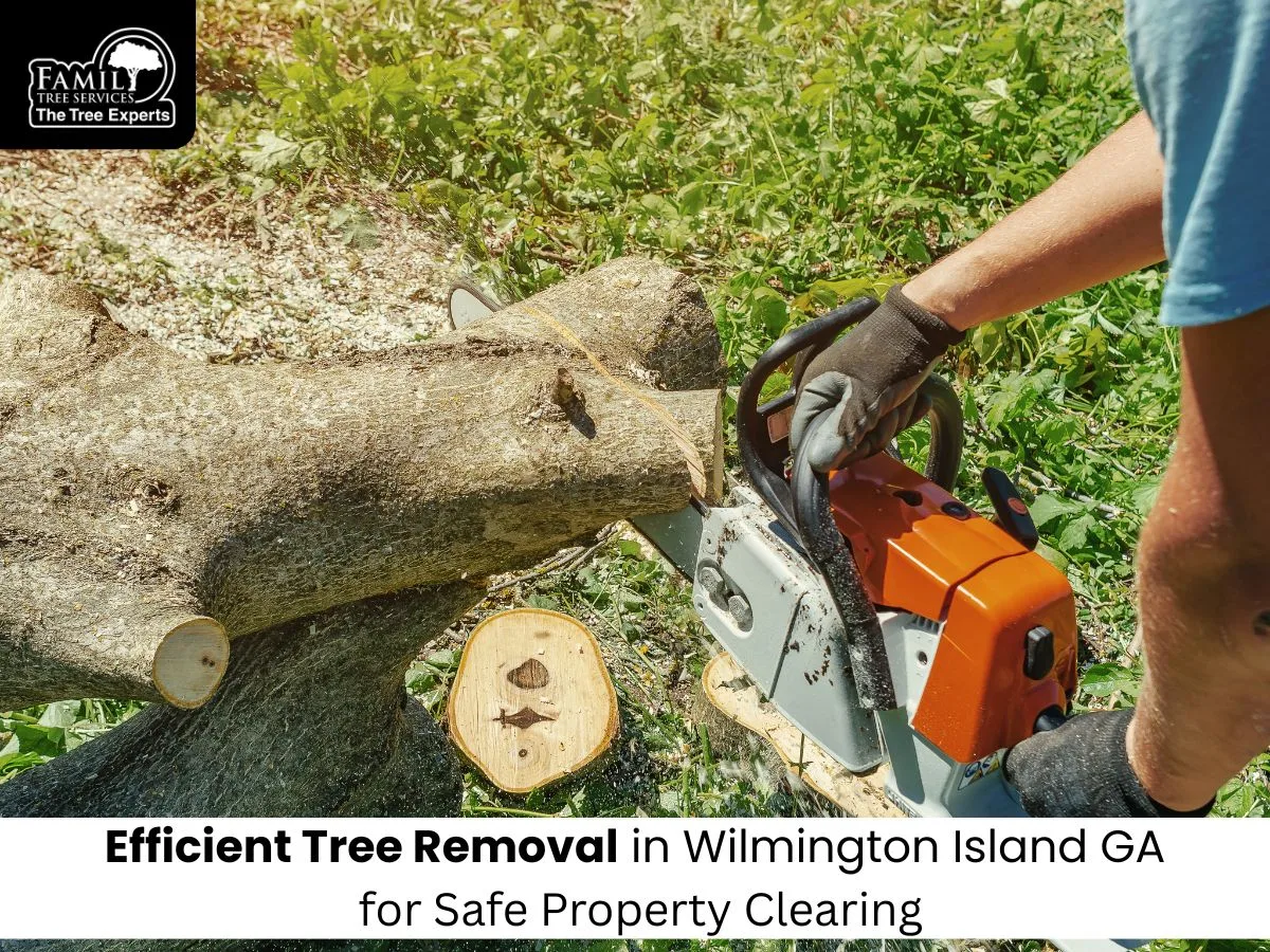 Family Tree Service work site