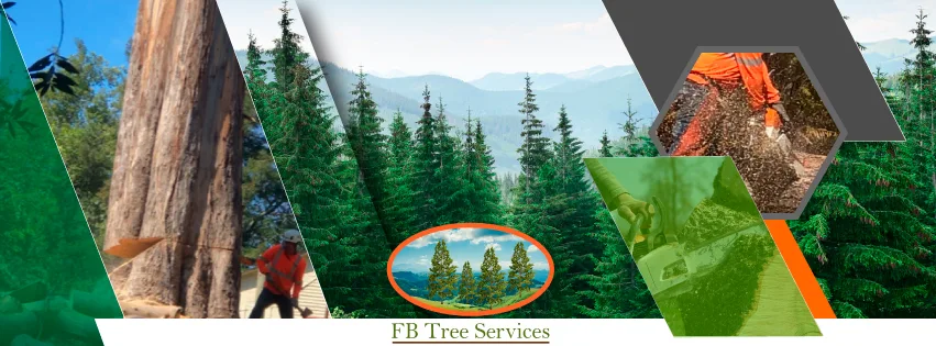 FB Tree Services inc work site