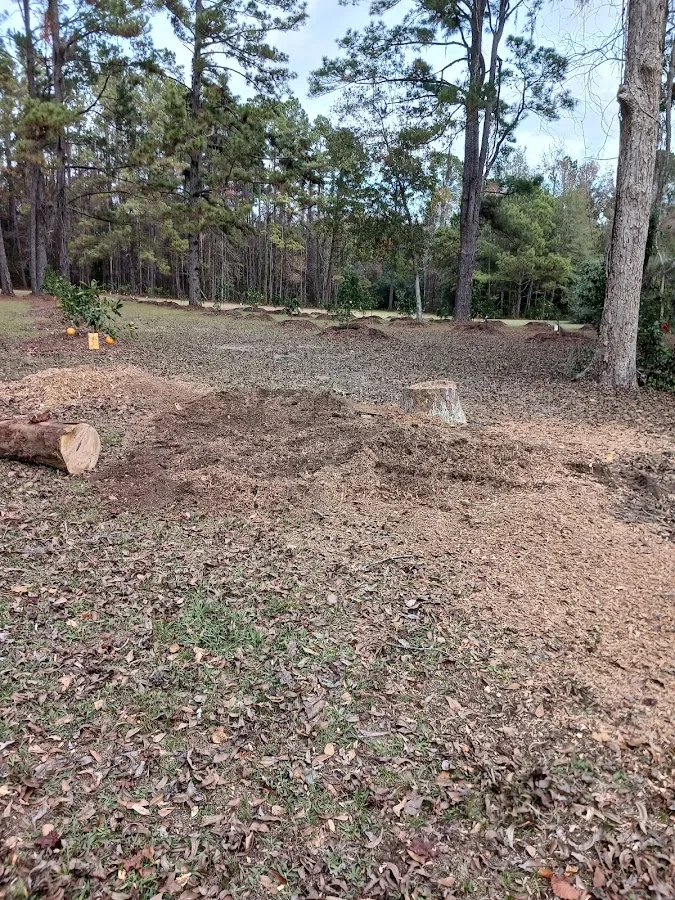 Fielder Tree Service work site