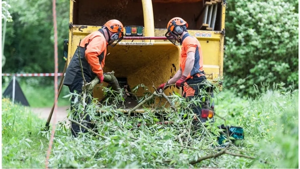 First Choice Lawn & Tree Service