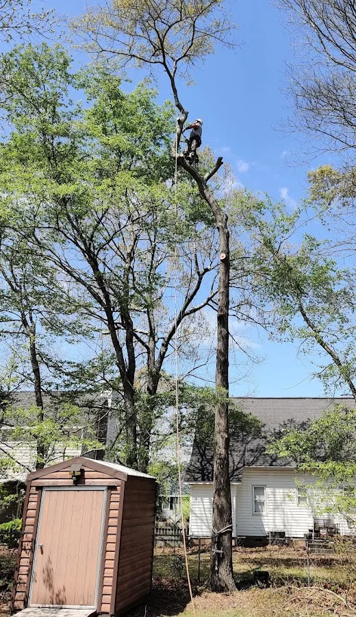 First Choice Tree Care