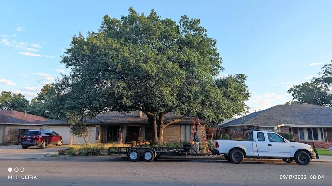 Flocy Tree Service