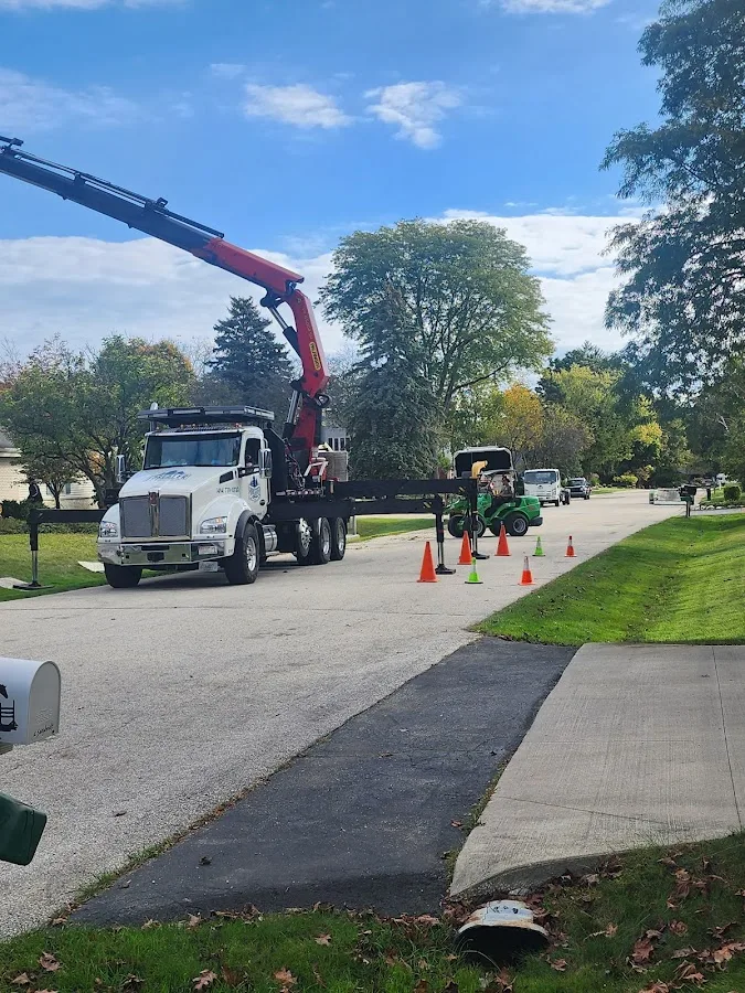 Forester Tree Service