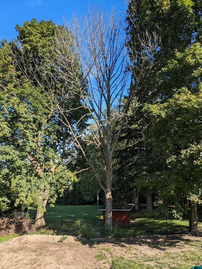 Four Seasons Tree Services gallery 2