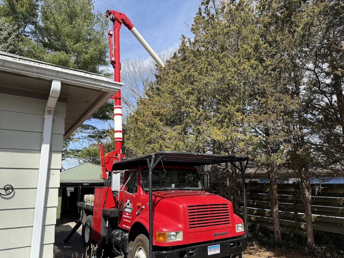 Fred's Tree Removal LLC