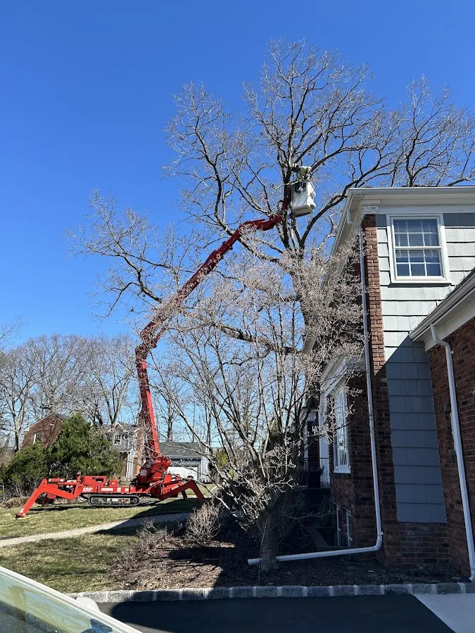 Friendly Tree Experts