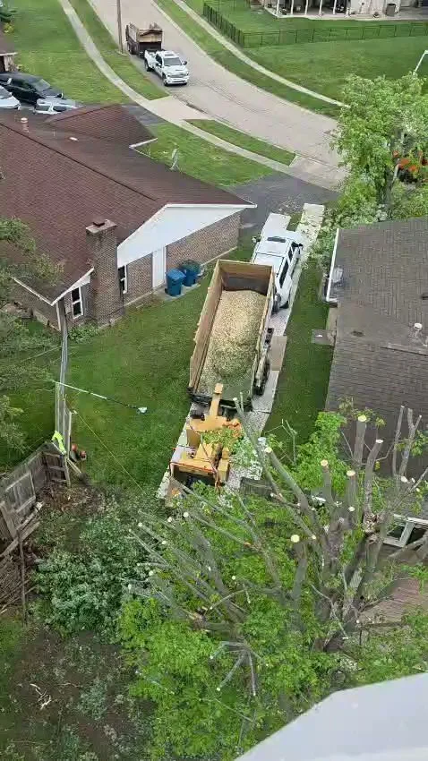 G&C Tree Service, LLC gallery 3