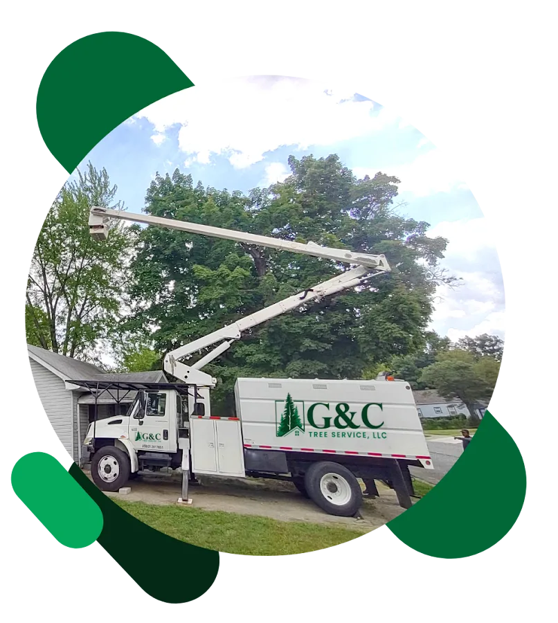 G&C Tree Service, LLC gallery 2