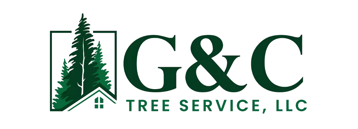 G&C Tree Service, LLC gallery 6