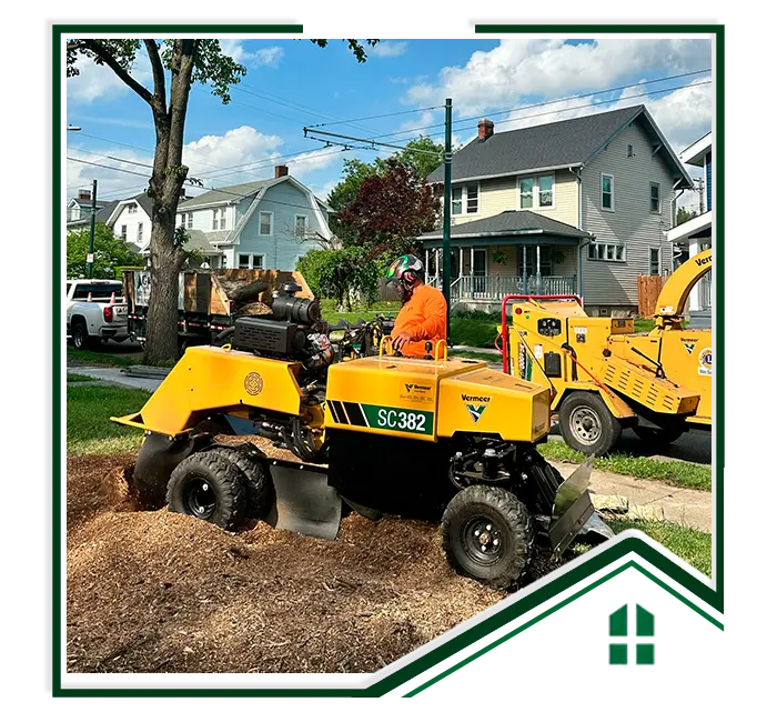 G&C Tree Service, LLC gallery 7