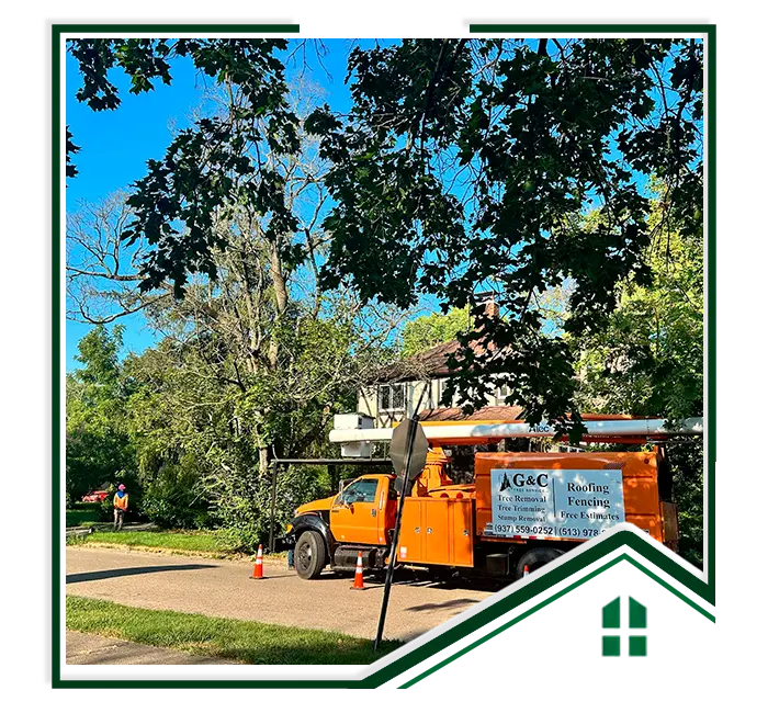 G&C Tree Service, LLC gallery 8