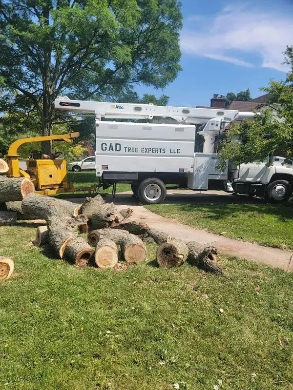 GAD Tree Experts, LLC gallery 7