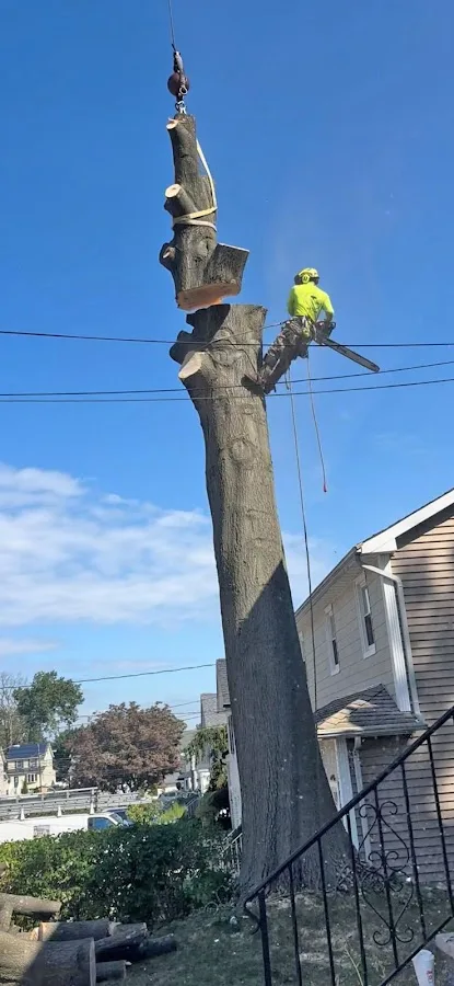 Garcia Tree Services LLC