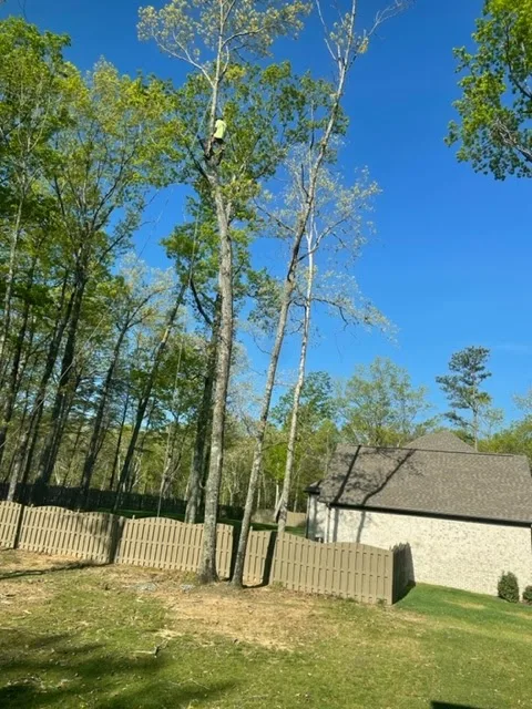 Gardner Tree Service