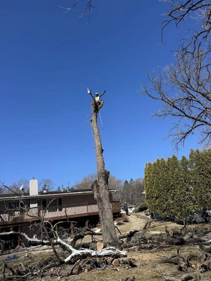 Geo tree services