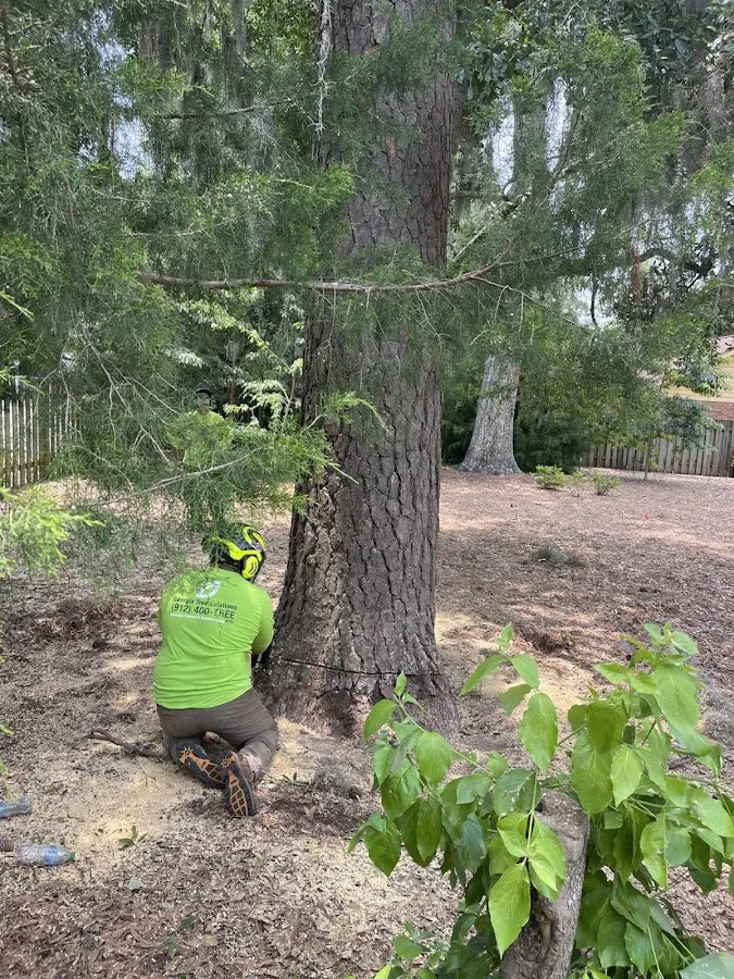 Georgia Tree Solutions Group, LLC gallery 2