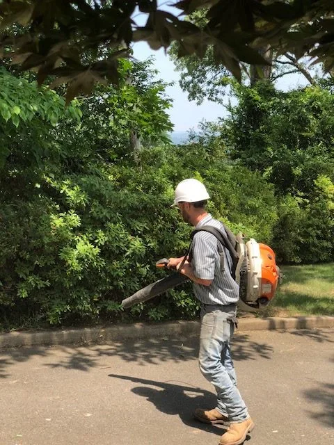 Giraffe Tree Services work site