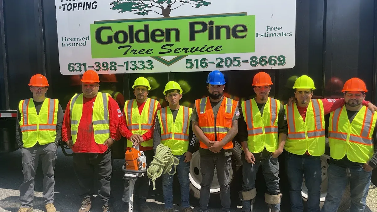 Golden Pine Tree Service Inc. gallery 2