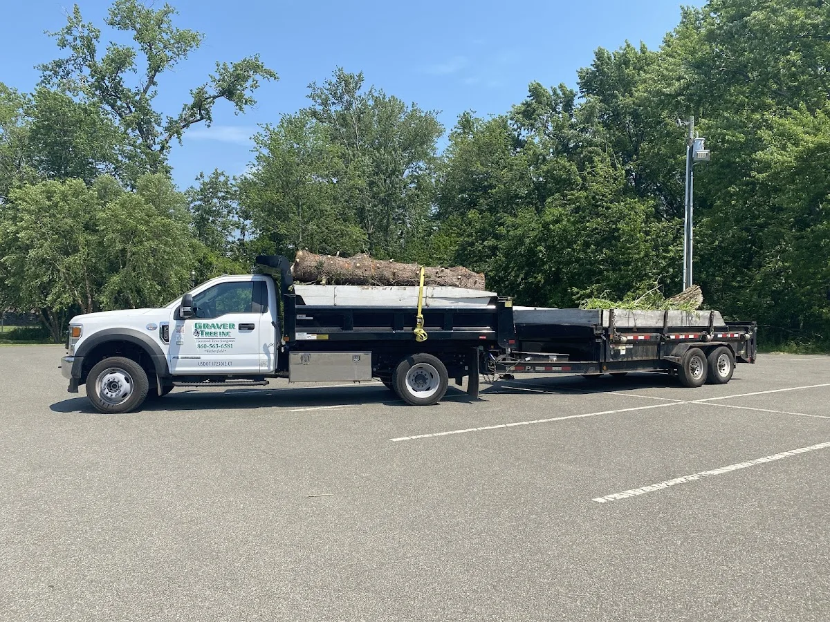 Graver Tree Care in Wethersfield, CT: What to Confirm Before You Approve a Trim, Removal, or Stump Quote