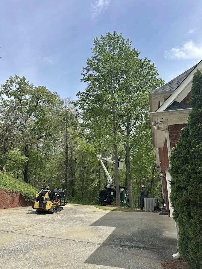 Gray's Tree Services