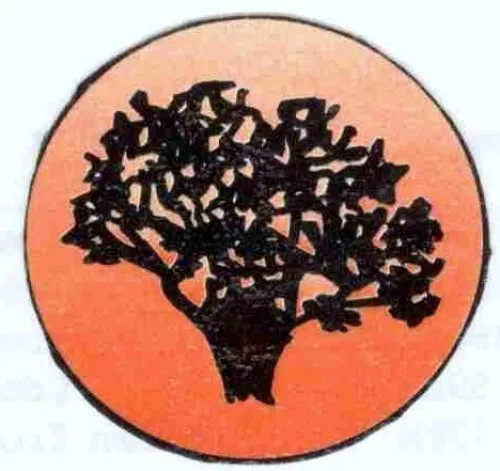 Great Scott Tree Service gallery 3