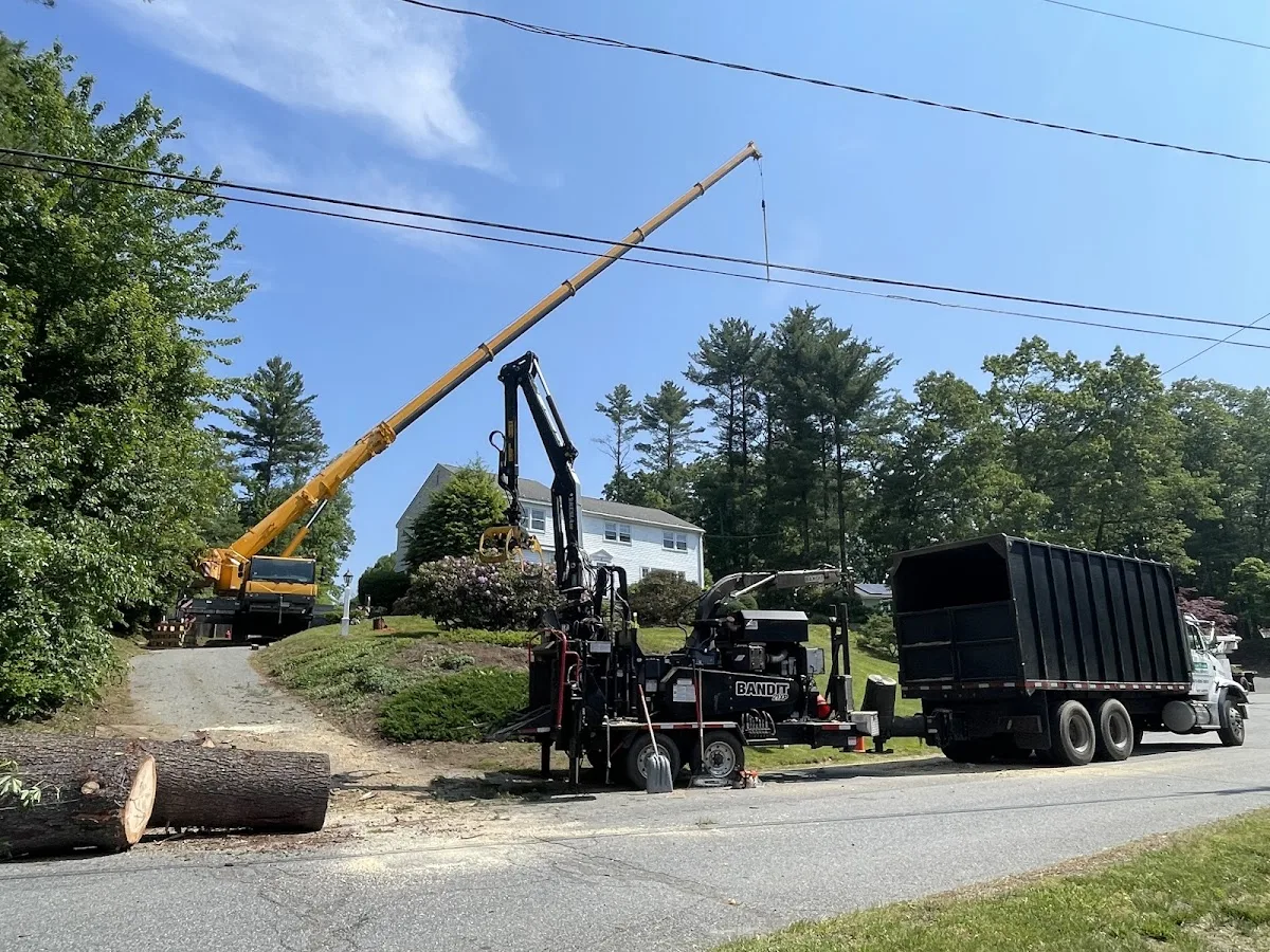 Greater Boston Tree Service (Tyngsborough, MA): How to Confirm the Right Scope for Emergency Tree Removal