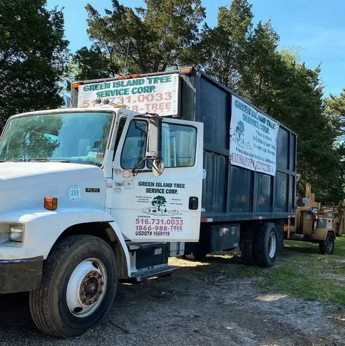 Green Island Tree Services gallery 4