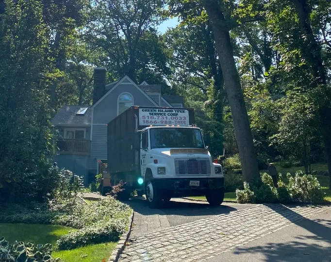 Green Island Tree Services gallery 6