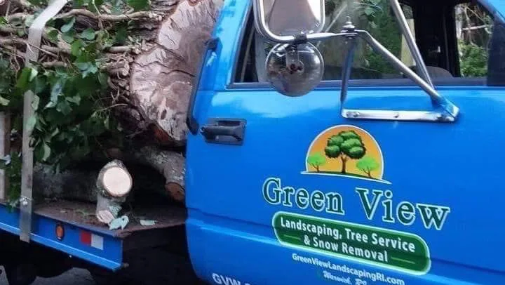 Green View Tree Service (Cranston, RI) Decision Guide: How to Compare Removal, Trimming, and Stump Work