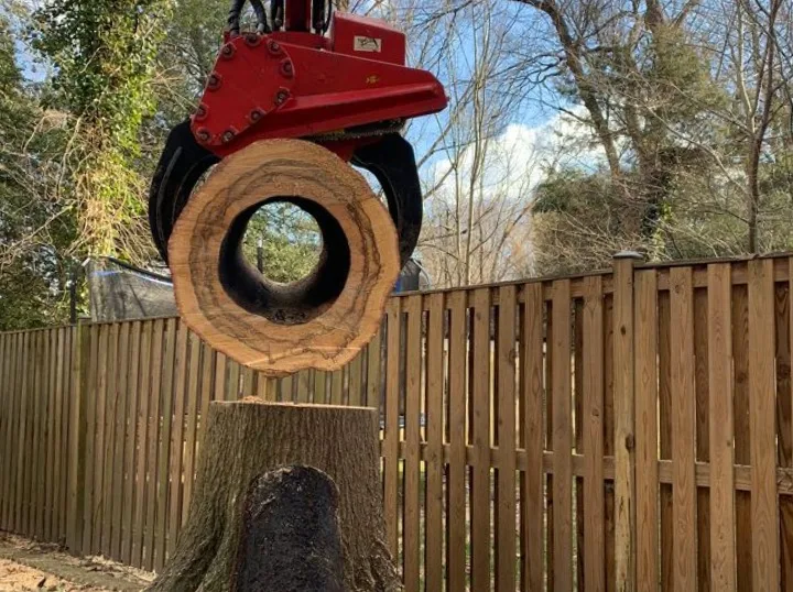Green Vista Tree Care gallery 2