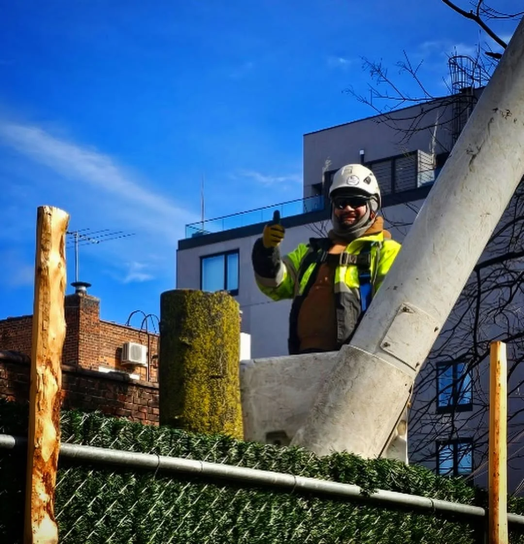 GreenLeaf Tree Removal | 24/7 Emergency Tree Service gallery 3