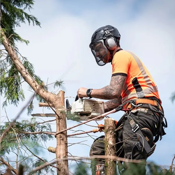 GreenLeaf Tree Removal | 24/7 Emergency Tree Service gallery 6