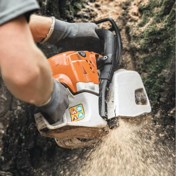 GreenLeaf Tree Removal | 24/7 Emergency Tree Service gallery 8