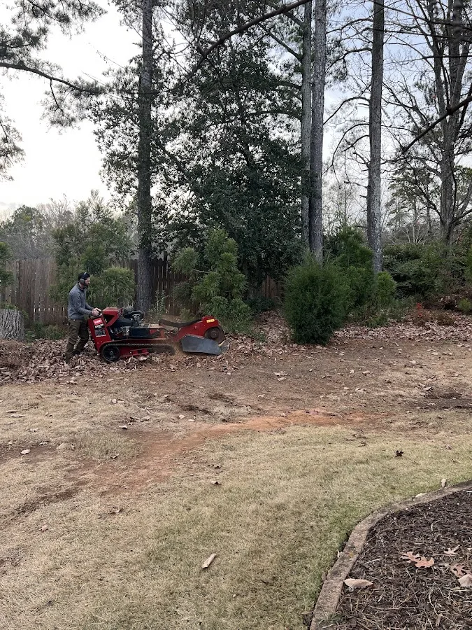 Greenville Stump Grinding