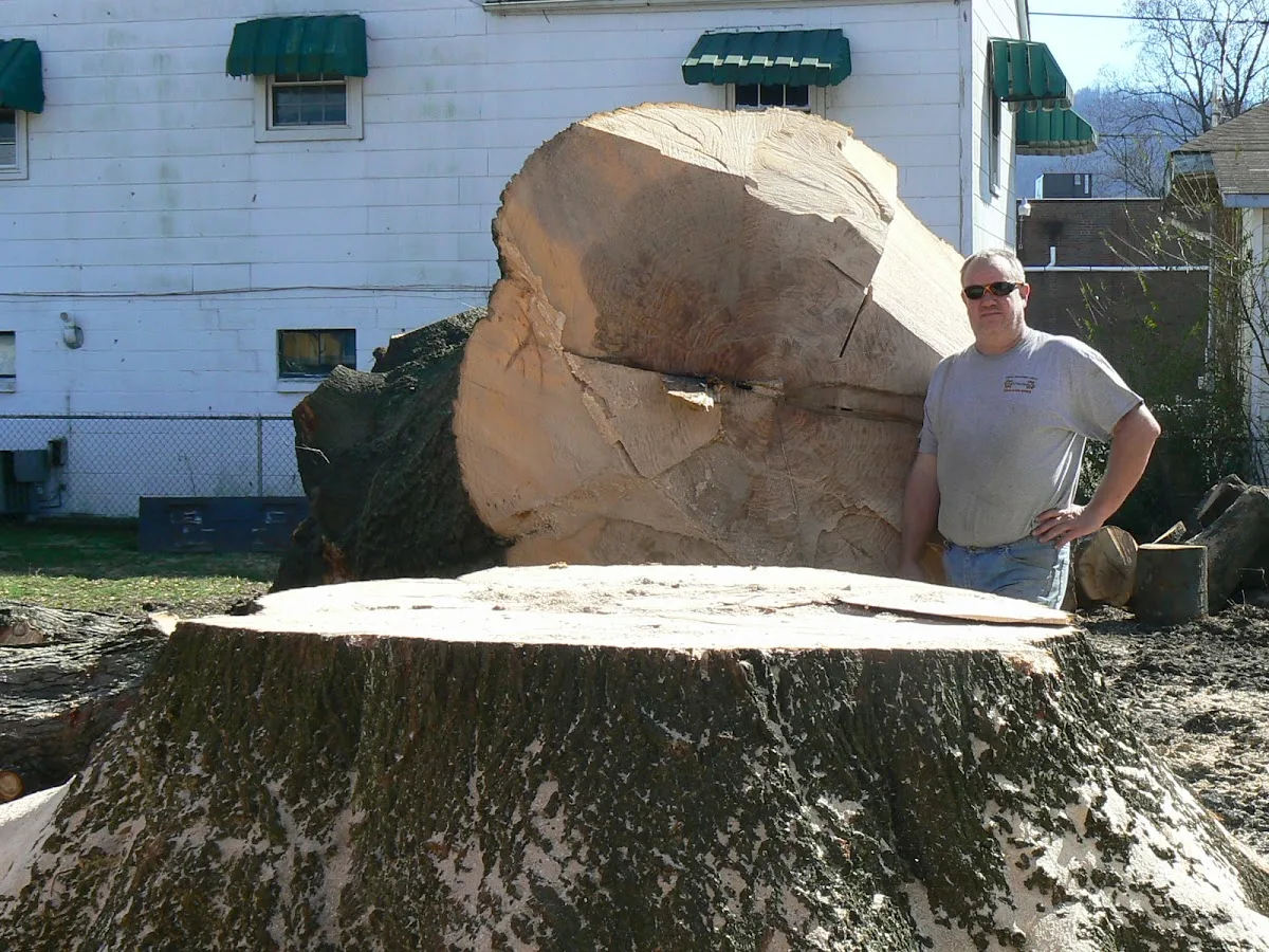 Greg's Tree Service