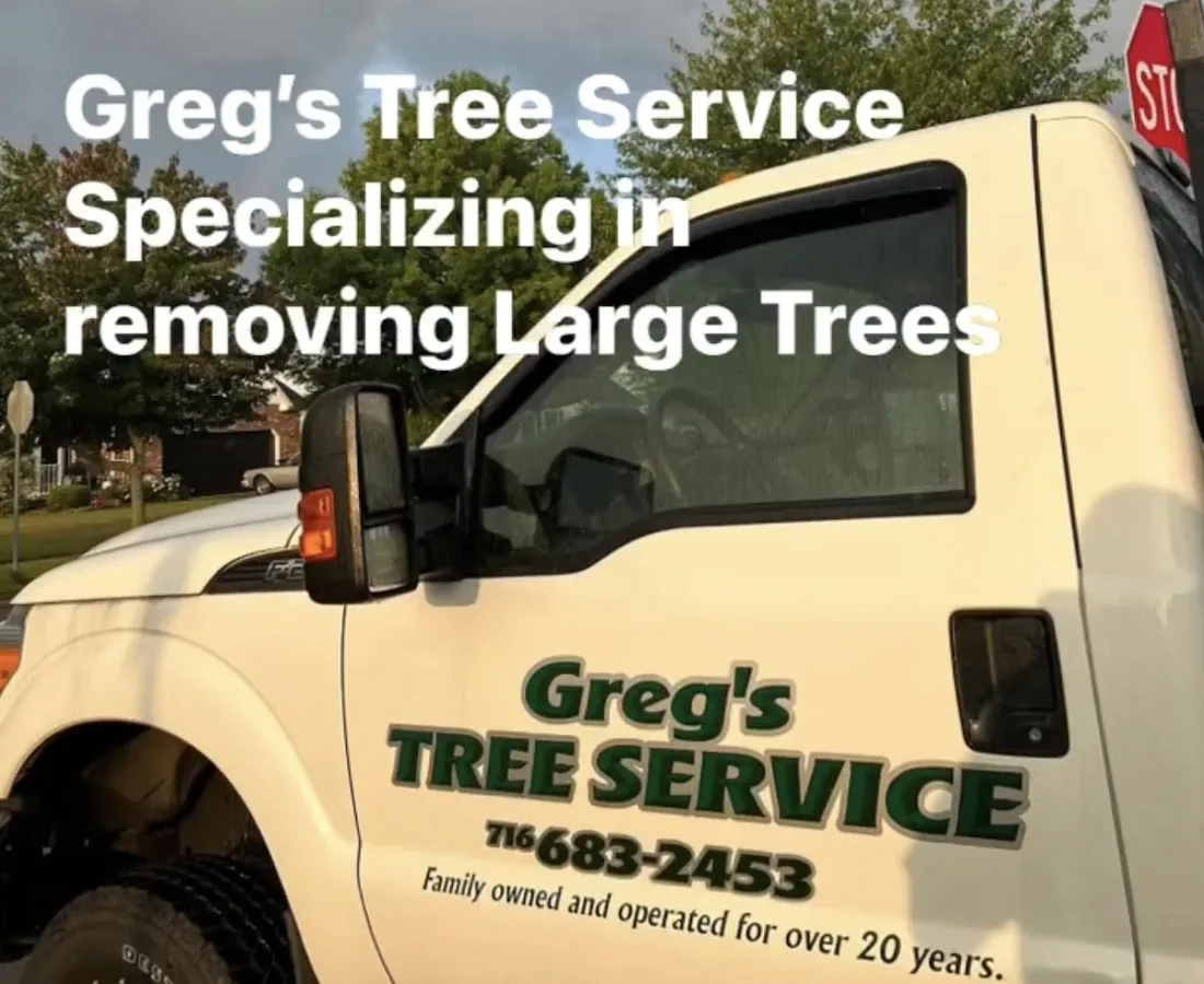 Greg's Tree Services gallery 2
